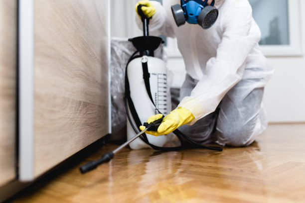 Best Affordable Pest Control Services  in Guin, AL