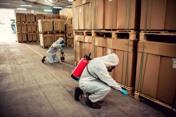 Reliable Guin, AL Pest Control Solutions