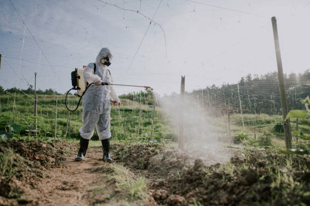 Best Mosquito Control Services  in Guin, AL