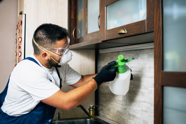 Best Best Pest Control Companies  in Guin, AL
