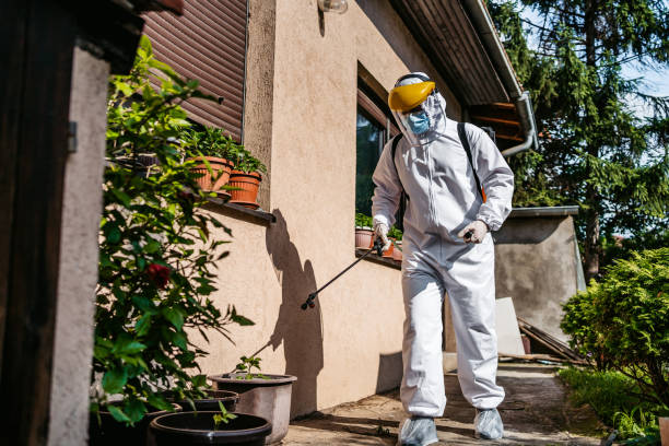 Pest Prevention Services in Guin, AL
