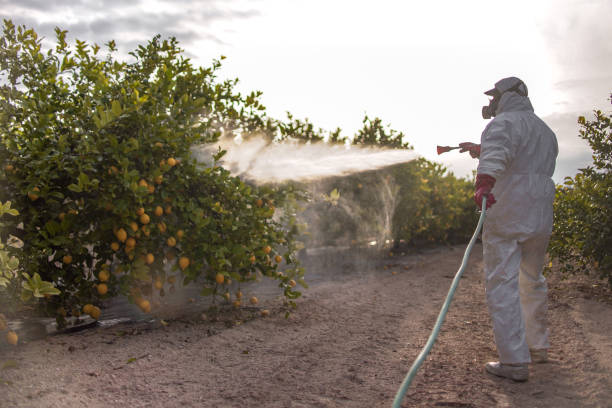 Best Commercial Pest Control Services  in Guin, AL