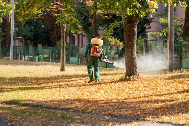 Best Pest Prevention Services  in Guin, AL