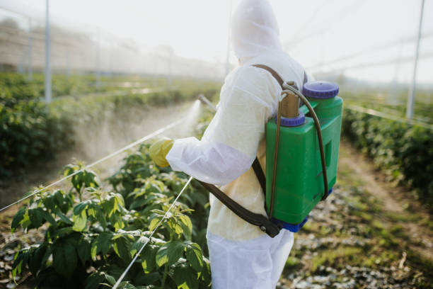 Best Pest Inspection Near Me  in Guin, AL